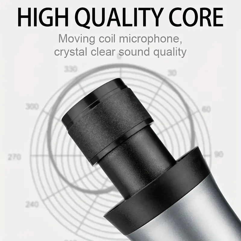 Heikuding doppio Microfono per Karaoke Wireless