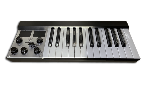 Mellotron Micro