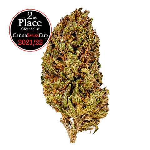 Slow Weed  Cookies Kush - Serra 6g