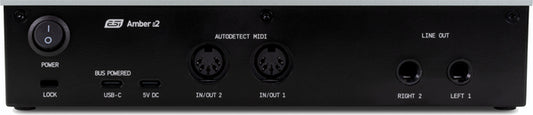 https://www.musix.com/images/products/large/esi-audio-Amber-i2-252089_B.jpg