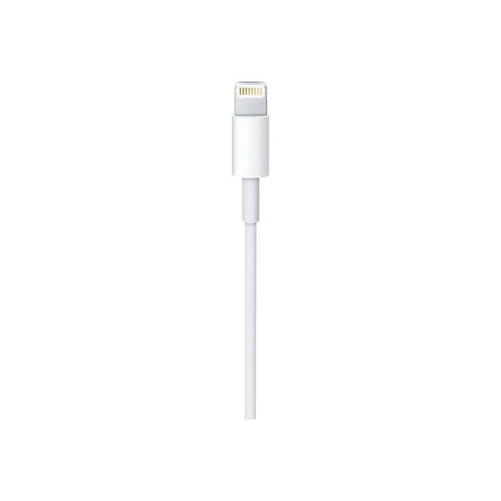 IPHONE USB‑C - Lightning USB-Kabel (USB Typ-C, Lightning, 1 m)