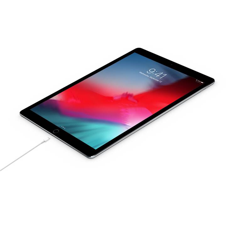 APPLE USB‑C - Lightning Cavo USB (USB di tipo C, Lightning, 1 m)