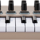 ARTURIA MiniLab 3