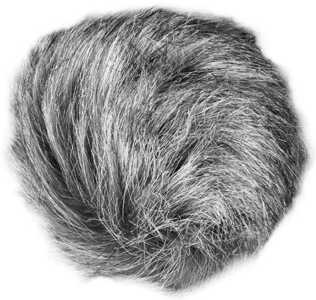 Zoom WSU-1 Frangivento Universale per Registratori H1/H2n/H4n/H5/H6 e iQ5