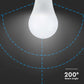 V-TAC Lampadina LED 17W 110LM/W A65 2700K