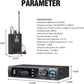 Debra ER-102 In Ear Monitor Sistema Wireless