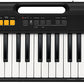 CASIO CT-S100