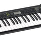 Casio CTK-240 Portable Keyboard