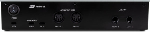 https://www.musix.com/images/products/large/esi-audio-Amber-i2-252089_B.jpg