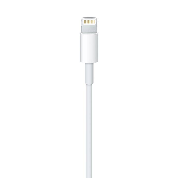 I-phone Lightning Cavo (Lightning, USB Tipo-A, 1 m)